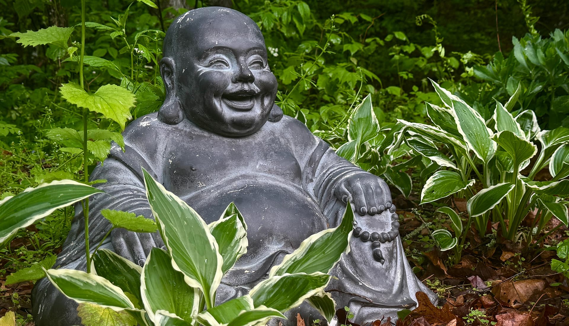 A smiling stone Buddha statue surrounded by lush green plants.